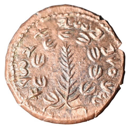 CSJS0001 Shekel Jewish Coin Bar Kokhba AE obverse