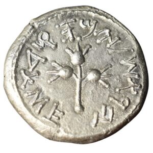 CSJS0003 Shekel Jewish Coin Shekel Year 3 reverse