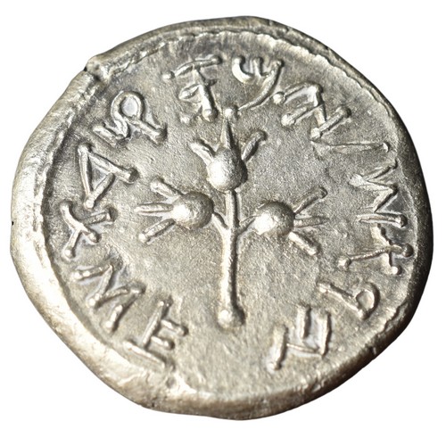 CSJS0003 Shekel Jewish Coin Shekel Year 3 reverse