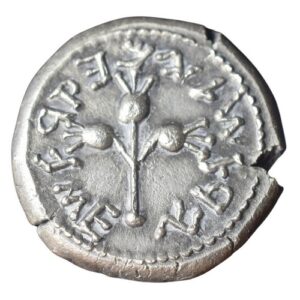 CSJS0019 Shekel Jewish Coin Shekel Year 3 reverse