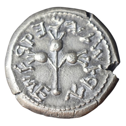 CSJS0019 Shekel Jewish Coin Shekel Year 3 reverse