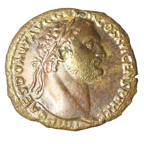 CBRS0162 Sestertius Roman Coin Domitian obverse